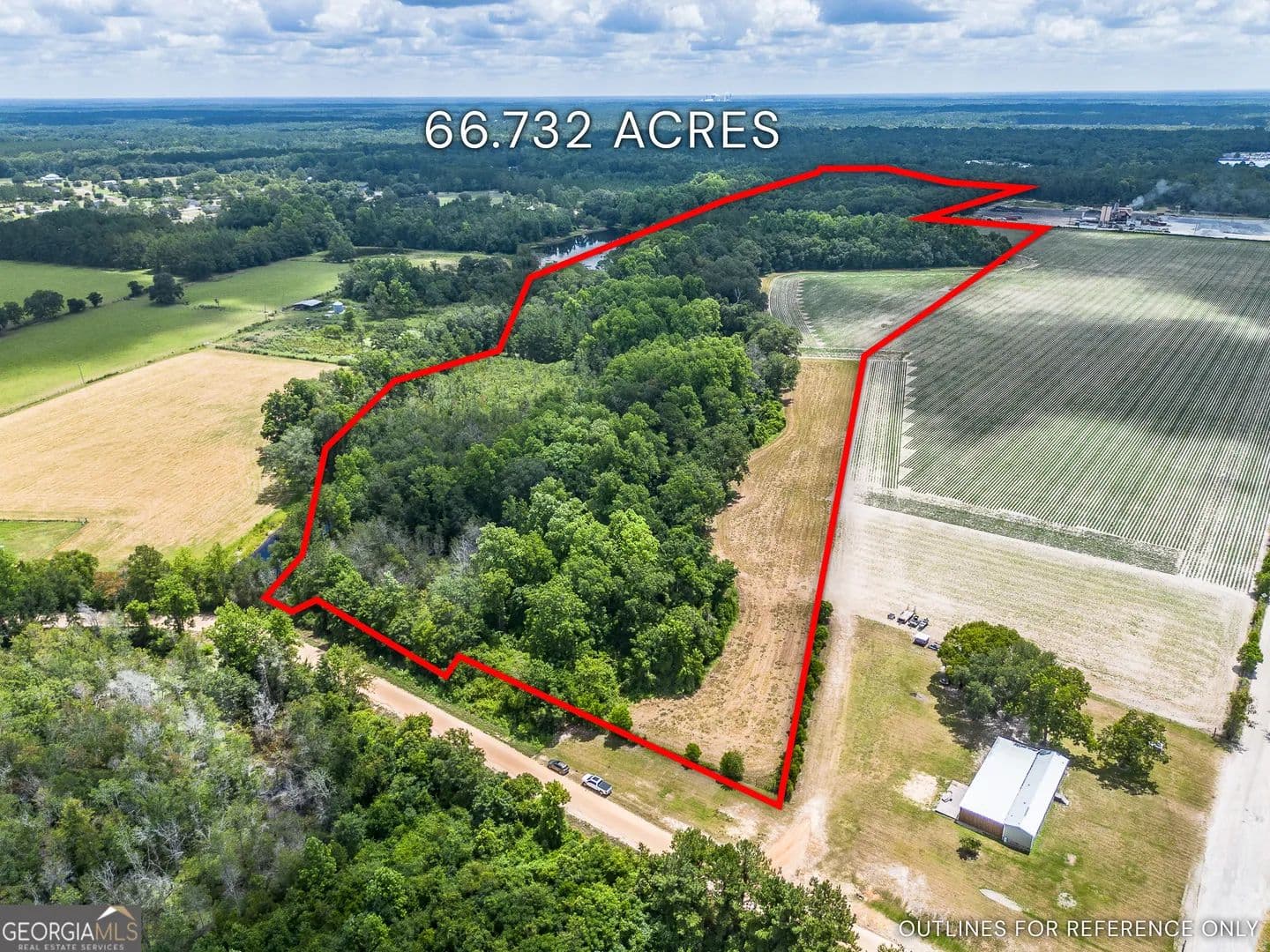 66.73 Acres of Land for Sale in Odum, GA - Odum, Georgia, 31555