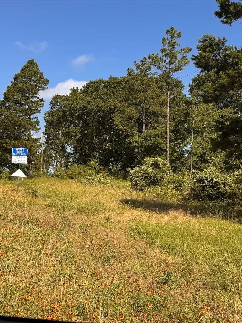 Vacant Land in Elkhart - Elkhart, Texas, 75839