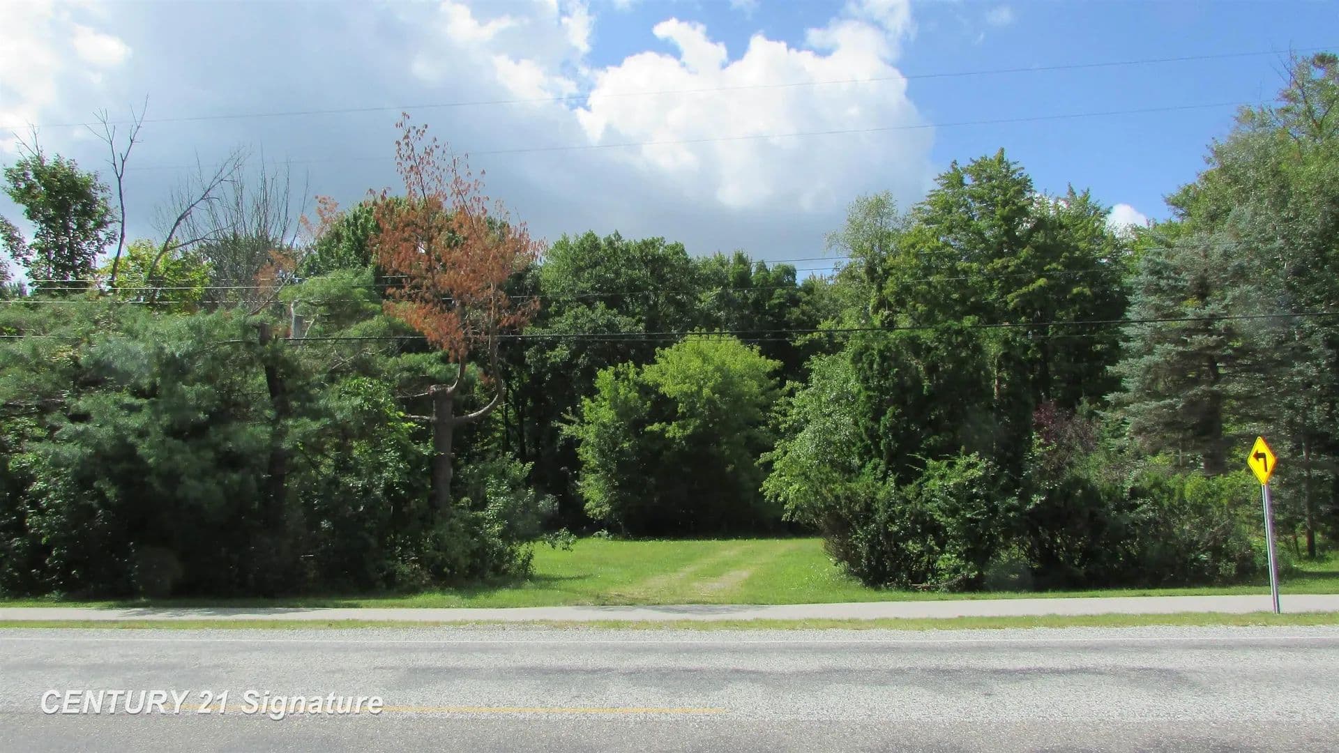 Vacant Land in Freeland - Freeland, Michigan, 48623