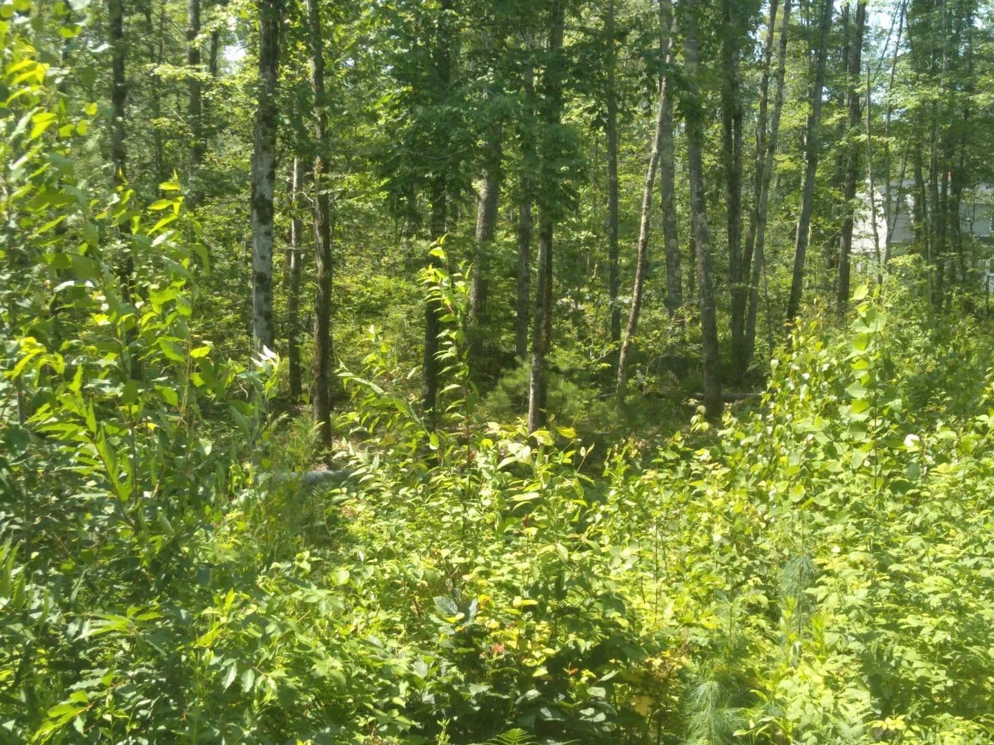 Vacant Land in Sanford - Sanford, Maine, 04073