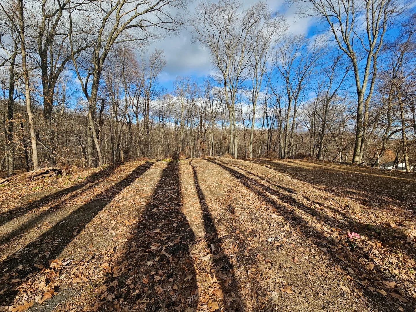 Land -Single Family Acreage in Morris Township - New Jersey, 07960