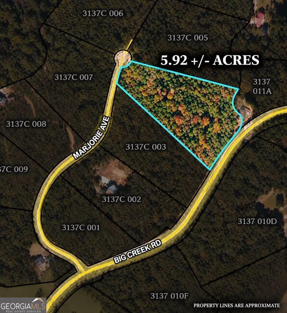 5.92 Acres of Land for Sale in Ellijay, GA - Ellijay, Georgia, 30536