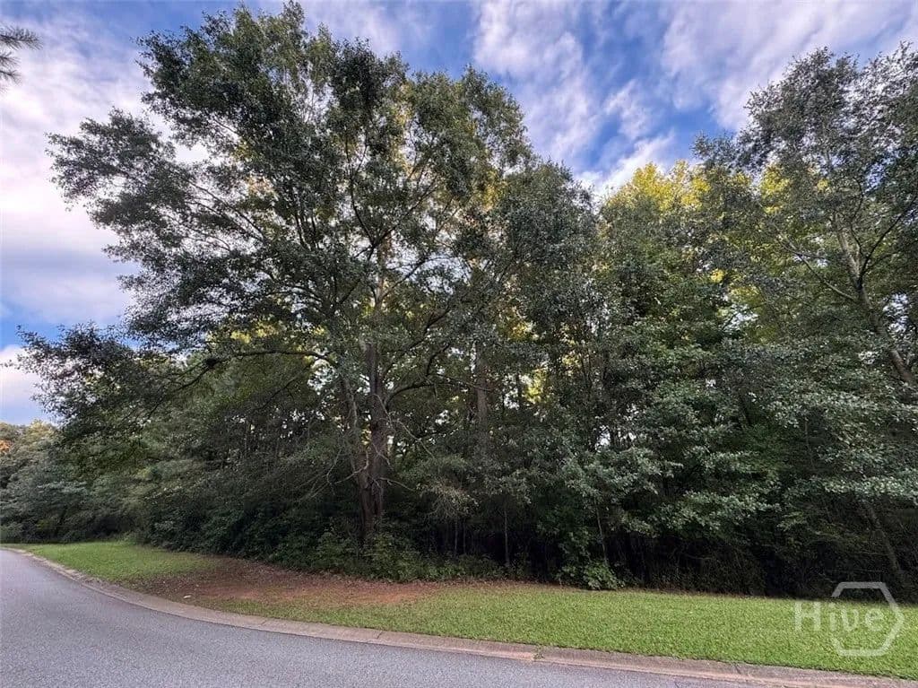 Vacant Land in Athens - Athens, Georgia, 30605