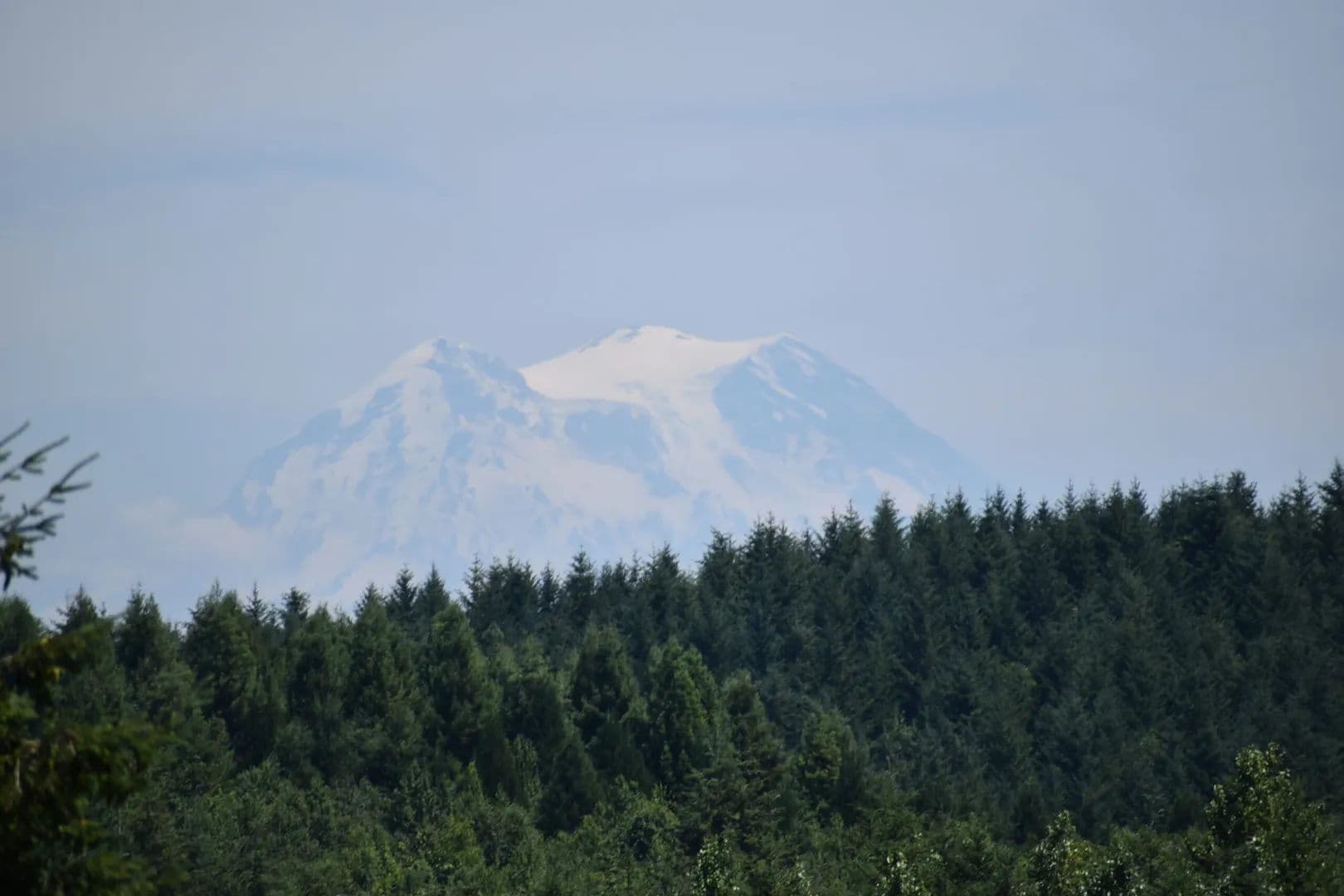 Case Road 15 acres - Olympia, Washington, 98512