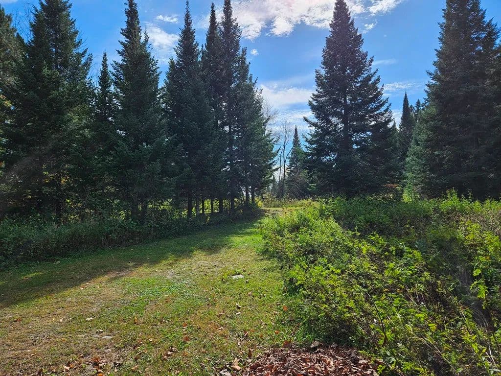 Vacant Land (0-10 Acres) in Deer River - Deer River, Minnesota, 56636