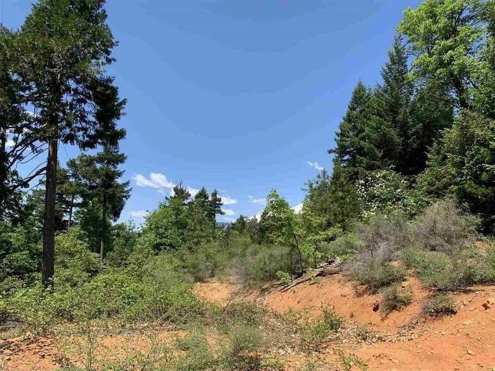 Lots & Land-Other in Dunsmuir - Dunsmuir, California, 960252453