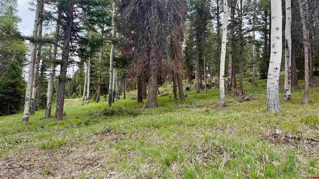 Property from 455 Ute Drive - KW - Cimarron, Colorado, 81220