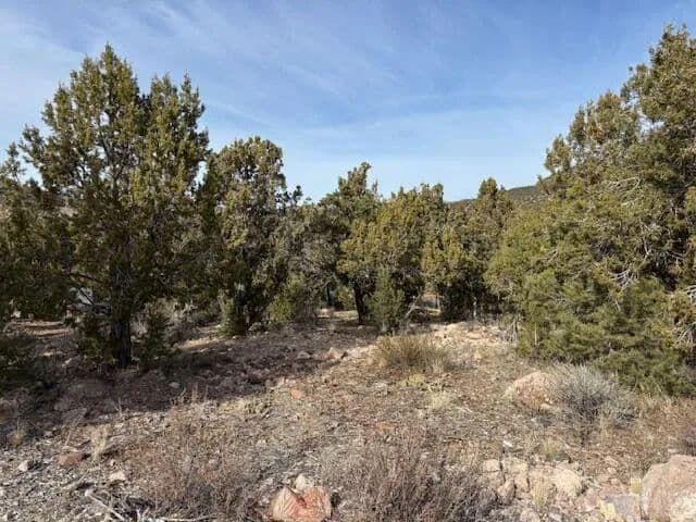 0.34 Acres of Land for Sale in Central, UT - Central, Utah, 84722