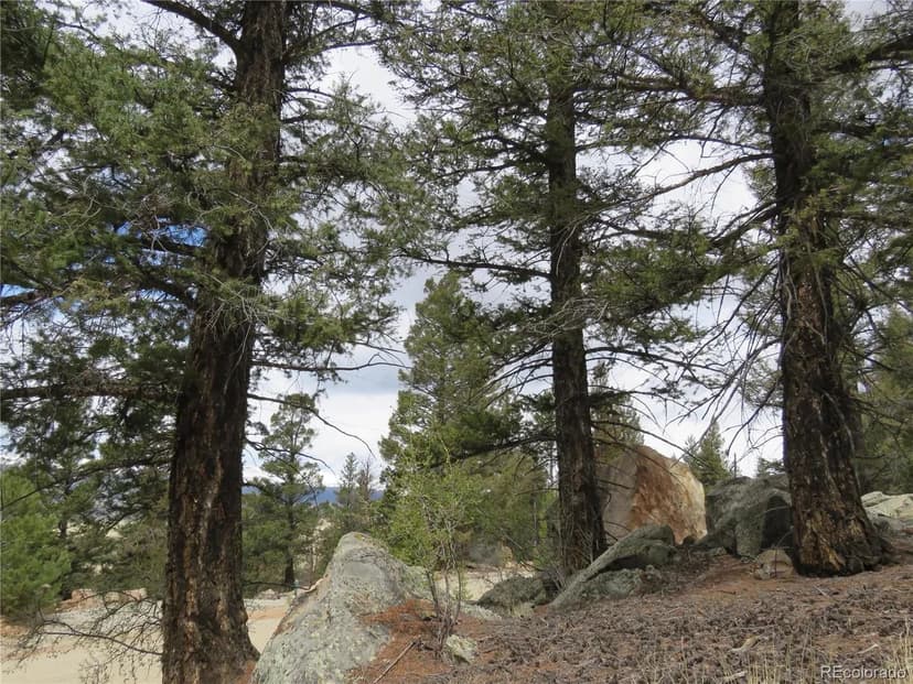 Property from 2120 Bonell Drive - KW