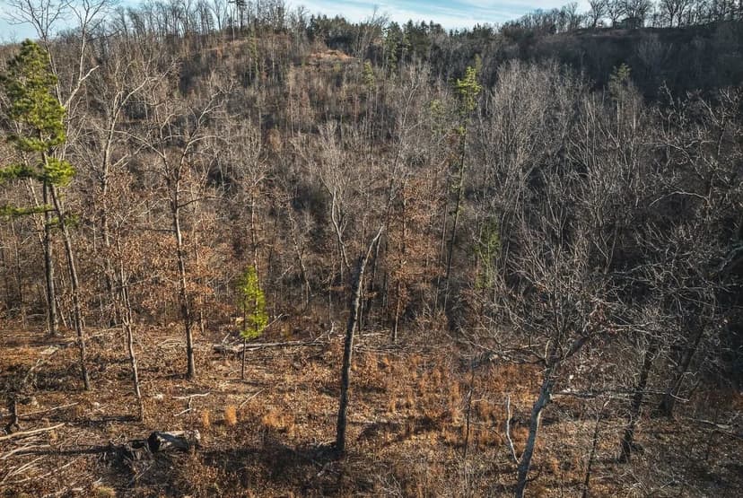 Angeline Acres at Eminence Tract 2