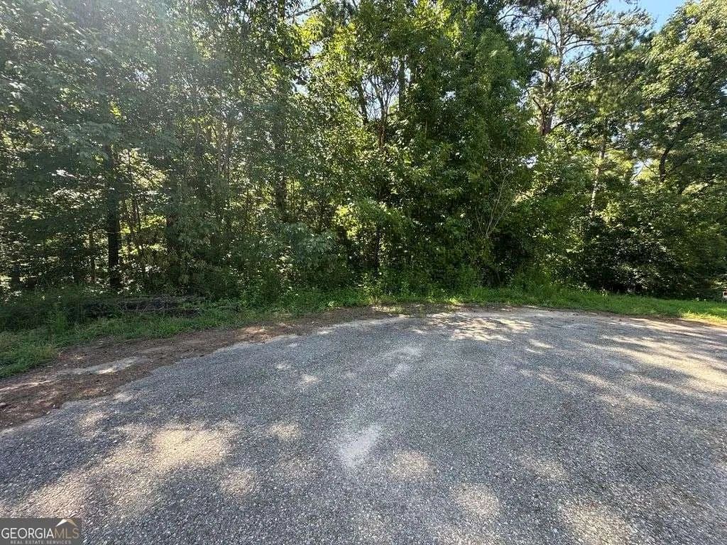 Vacant Land in Carlton - Carlton, Georgia, 30627