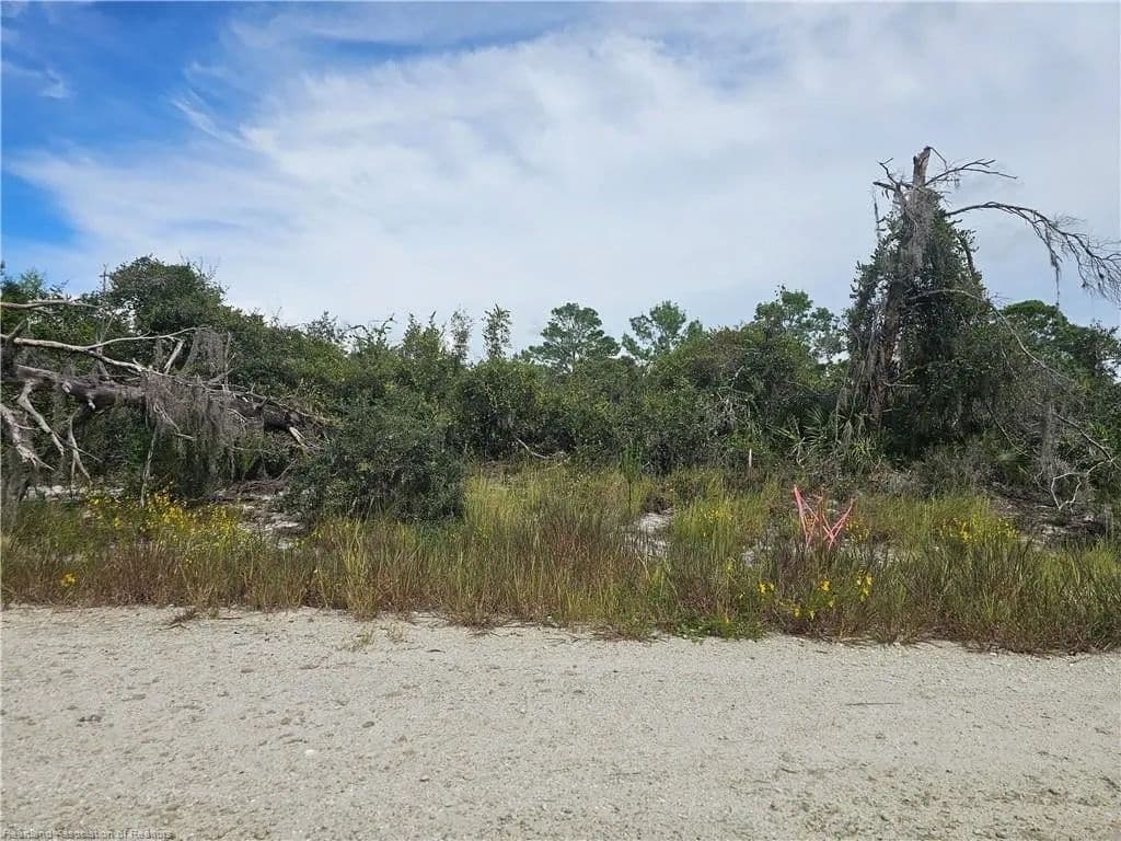 Lots & Land-Other in Lake Placid - Lake Placid, Florida, 33852