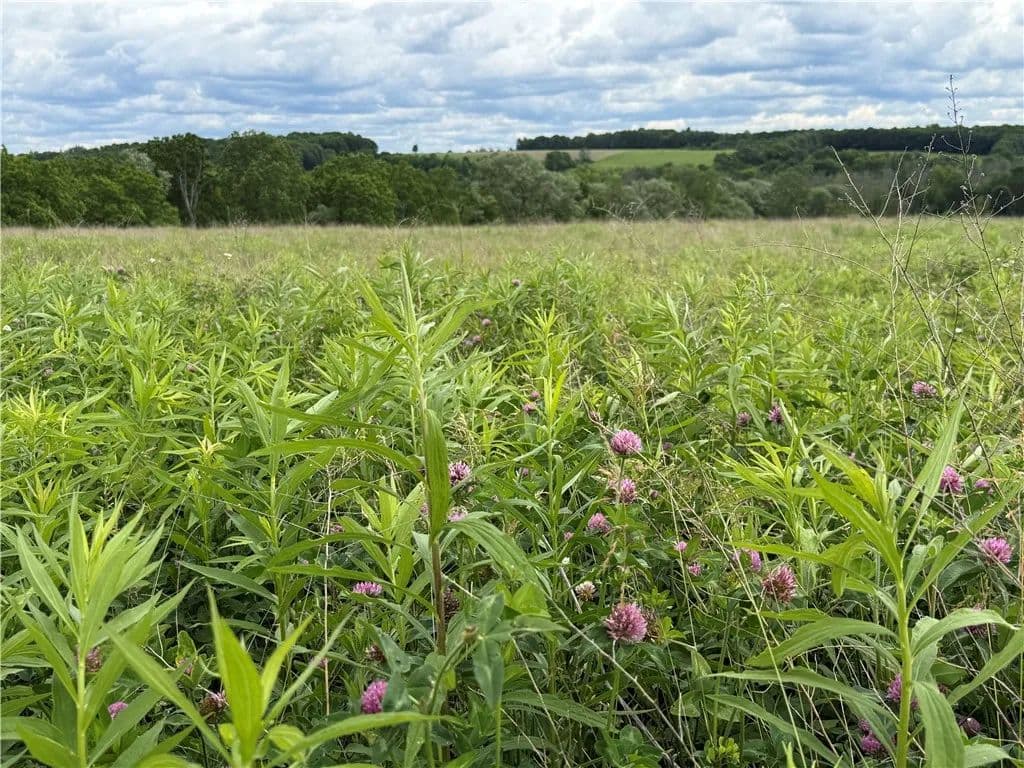 11.1 Acres of Land for Sale in Trumansburg, NY - Trumansburg, New York, 14886