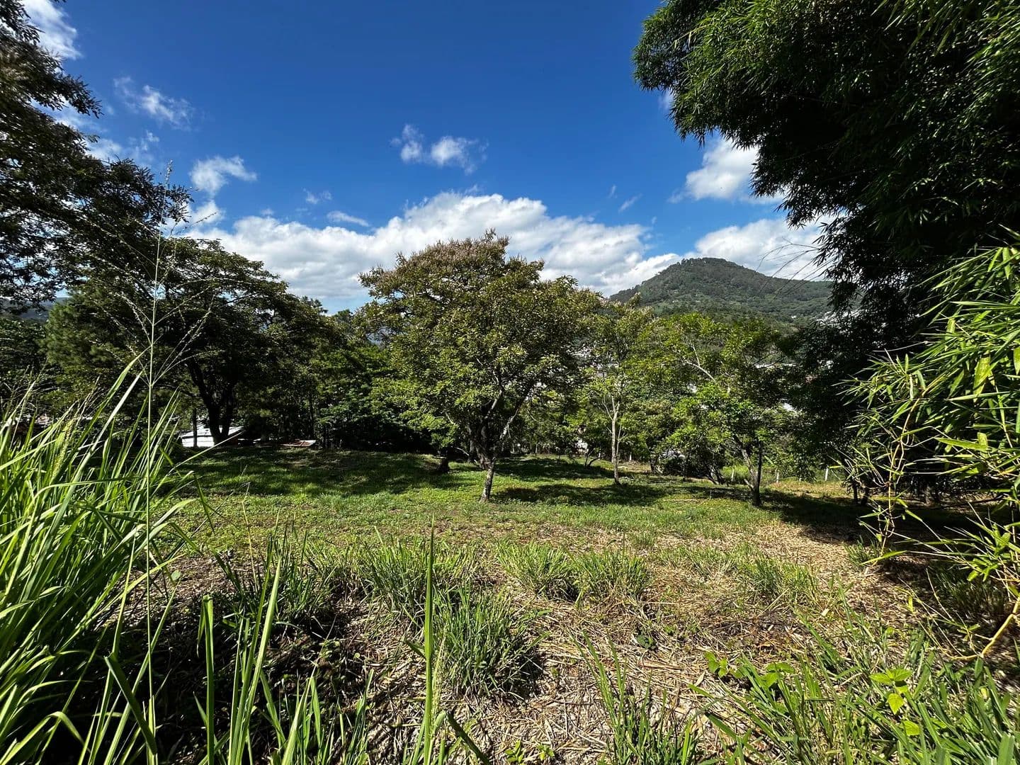 Land for Sale in Villa Canales, Guatemala - Guatemala