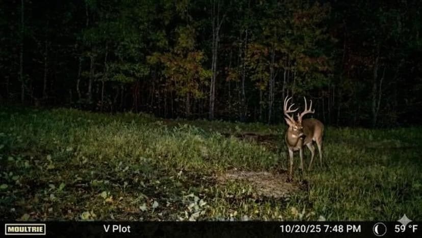 189-Acre Hunting Tract with off grid cabin in Humphreys County, TN