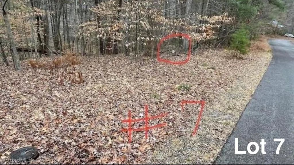 Vacant Land in Stuart - Stuart, Virginia, 24171
