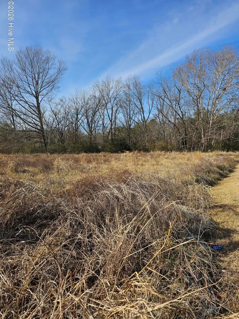 Lots & Land-Other in Woodland - Woodland, North Carolina, 27897