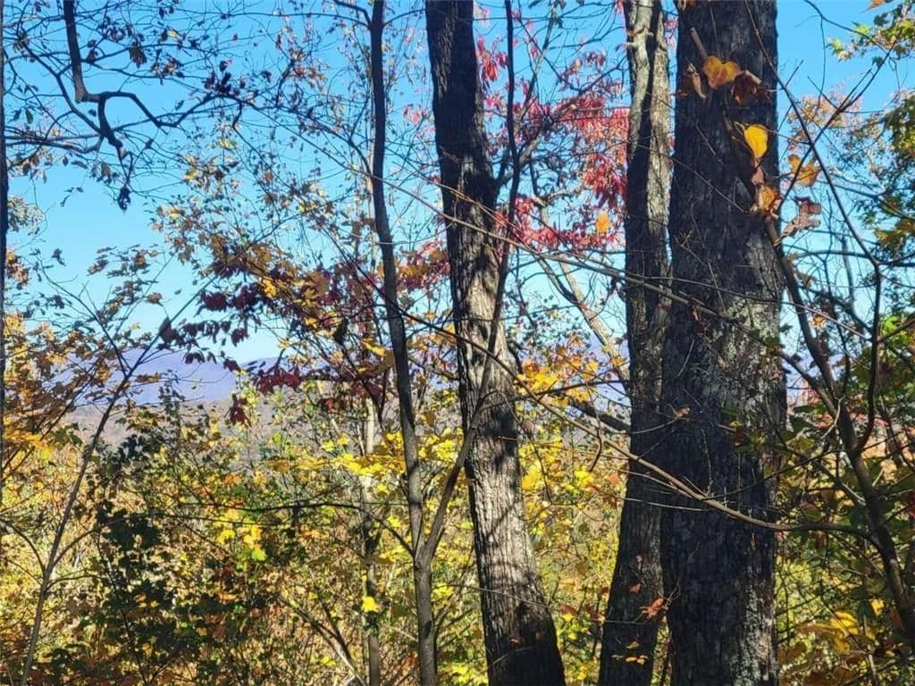 Vacant Land in Ellijay - Ellijay, Georgia, 30540