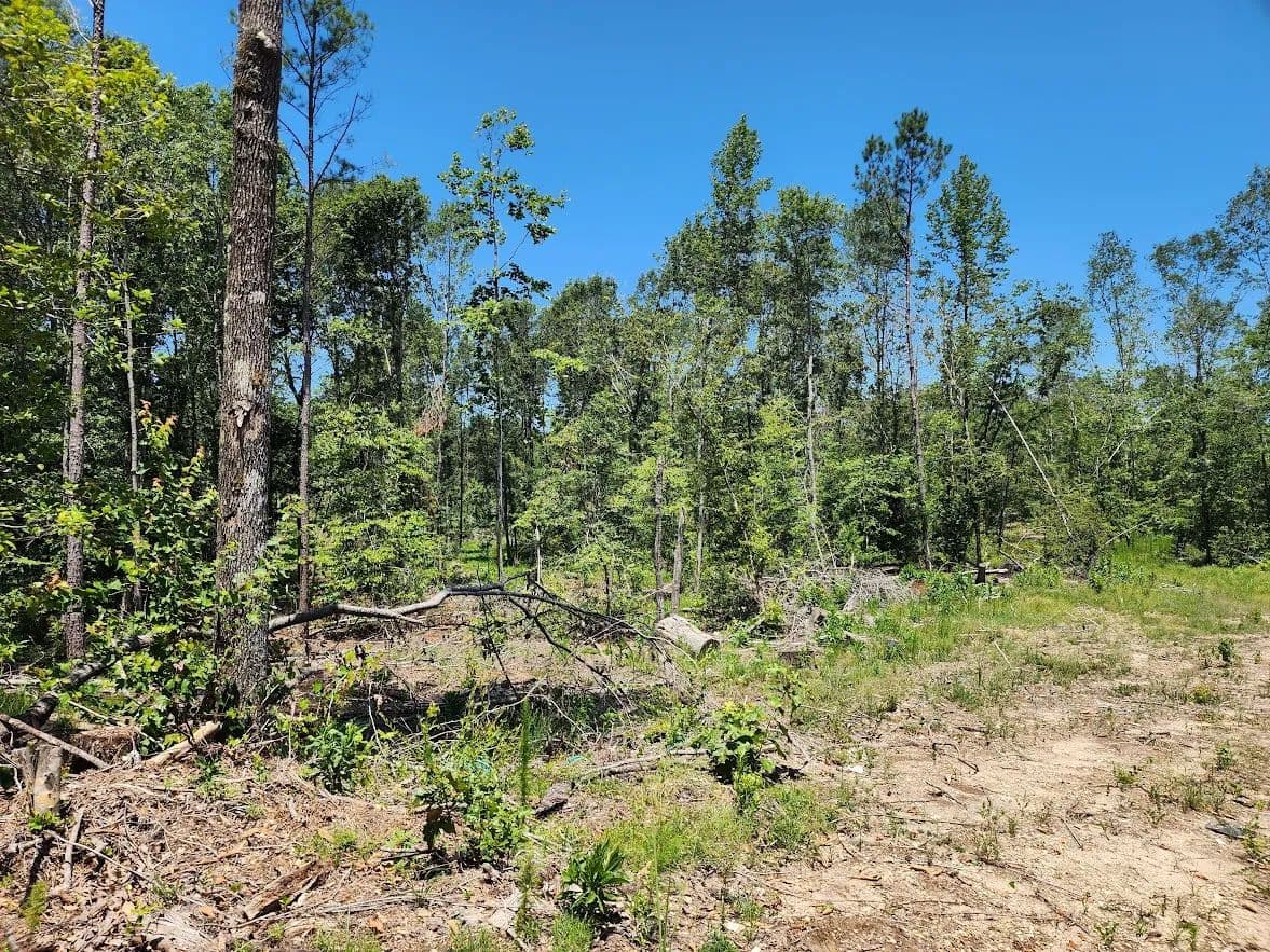 Vacant Land (10+ Acres) in El Dorado - El Dorado, Arkansas, 71730