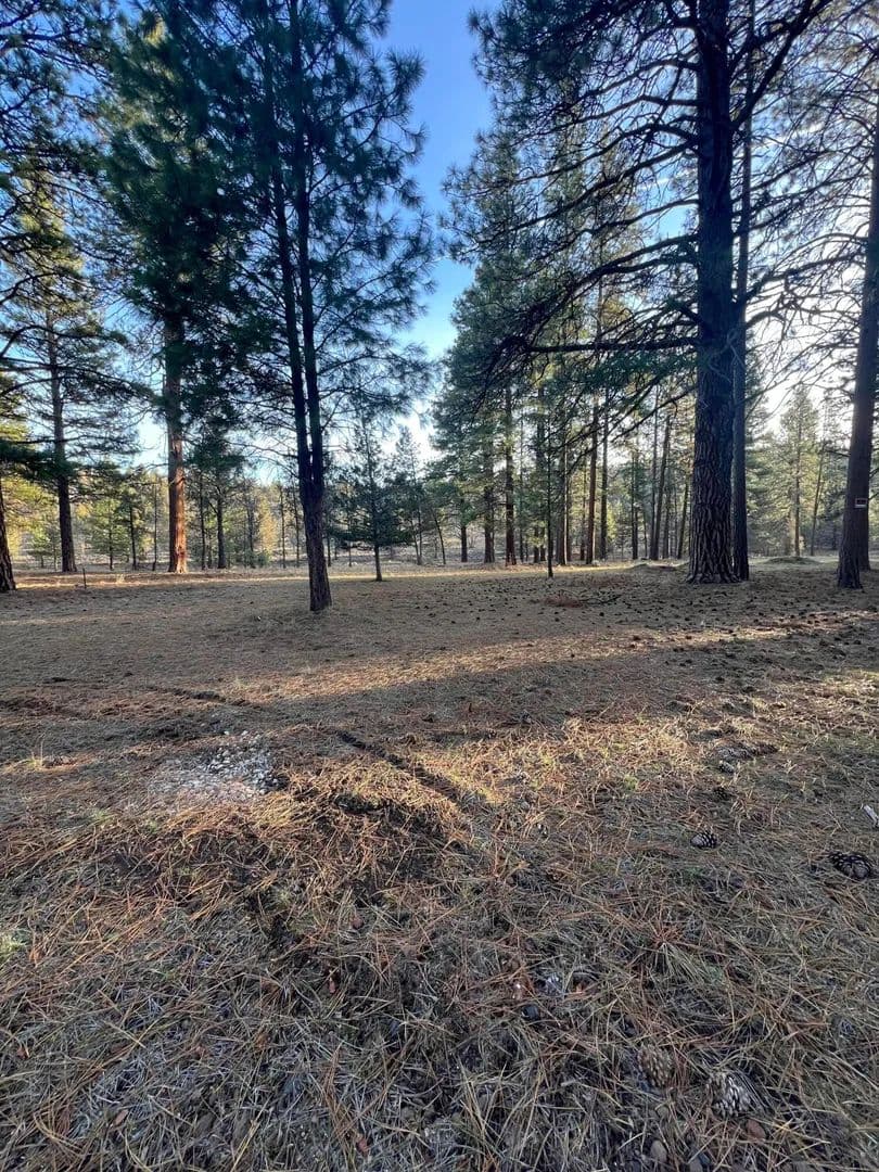Lots & Land-Other in Klamath Falls - Klamath Falls, Oregon, 97603