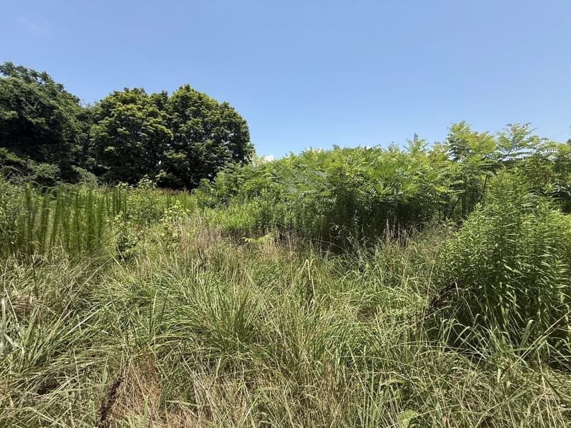 Lots & Land-Other in Winchester