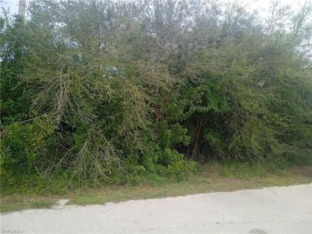 Lots & Land-Other in Lehigh Acres - Lehigh Acres, Florida, 33976