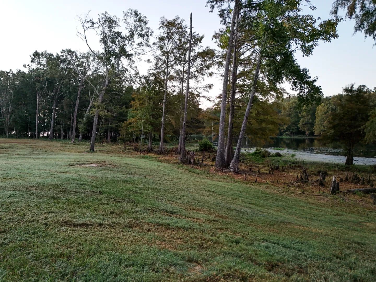 45 Acres with a Barndominium in Union Parish, LA  - Farmerville, Louisiana, 71241