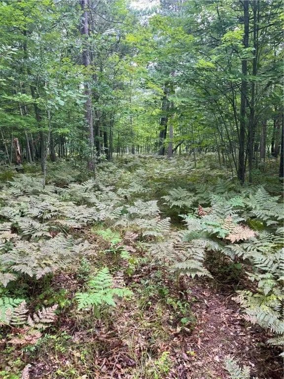 Property from Lot 43 Deerpath Trail Way - KW