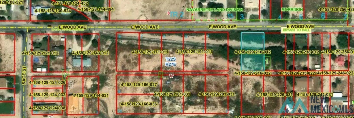 Property from S of 912 E Wood Avenue - KW - Carlsbad, New Mexico, 88220