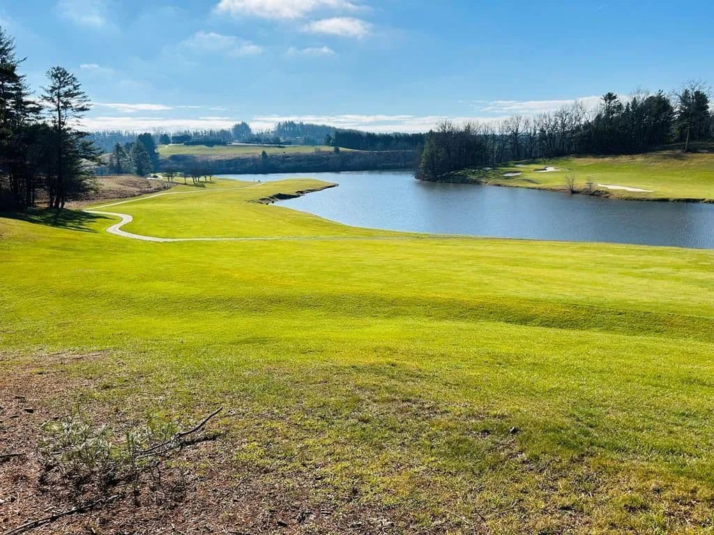 Vacant Land in Laurel Fork - Laurel Fork, Virginia, 24352