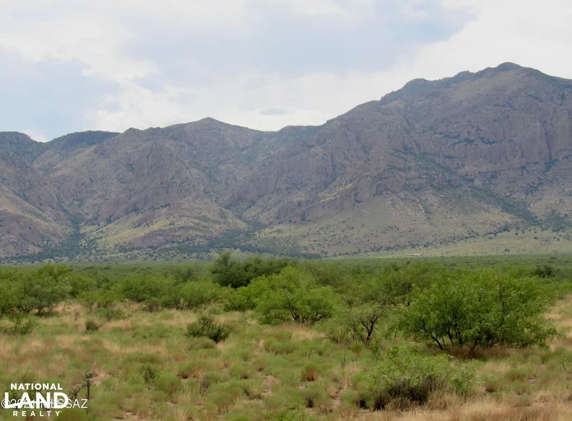 Portal 80 Acres Great Views for your next homestead. - Portal, Arizona, 85632