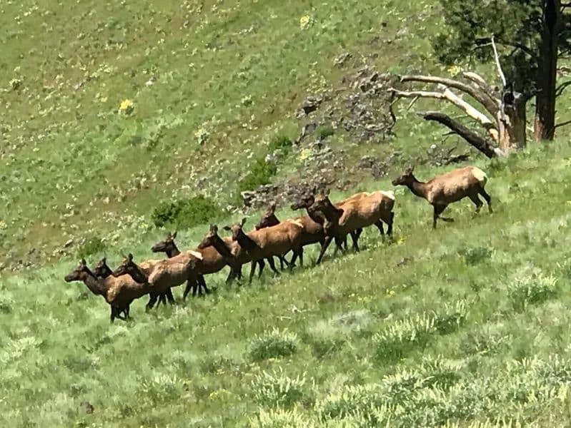 Recreational Mountain Property