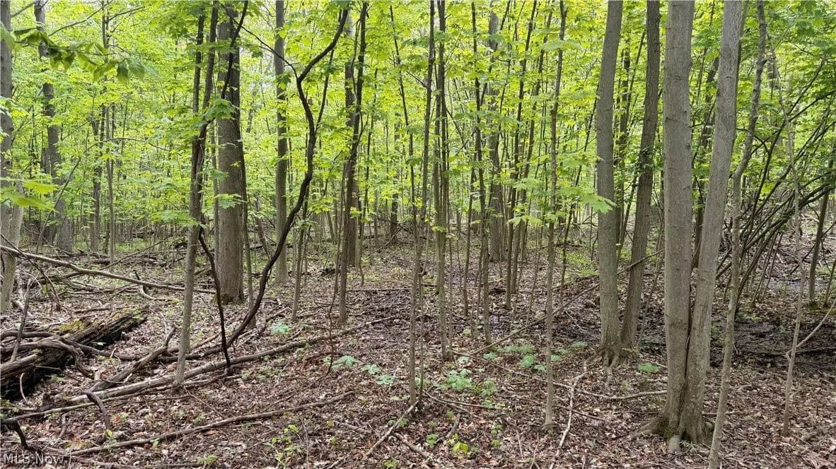 110 Acres of Land for Sale in Ashtabula, Ohio - Ashtabula, Ohio, 44004