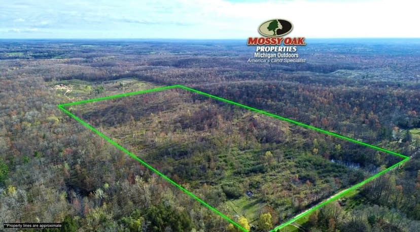 76 +/- Acres / White Could, MI / Newaygo County, MI / Recreational / Land For Sale