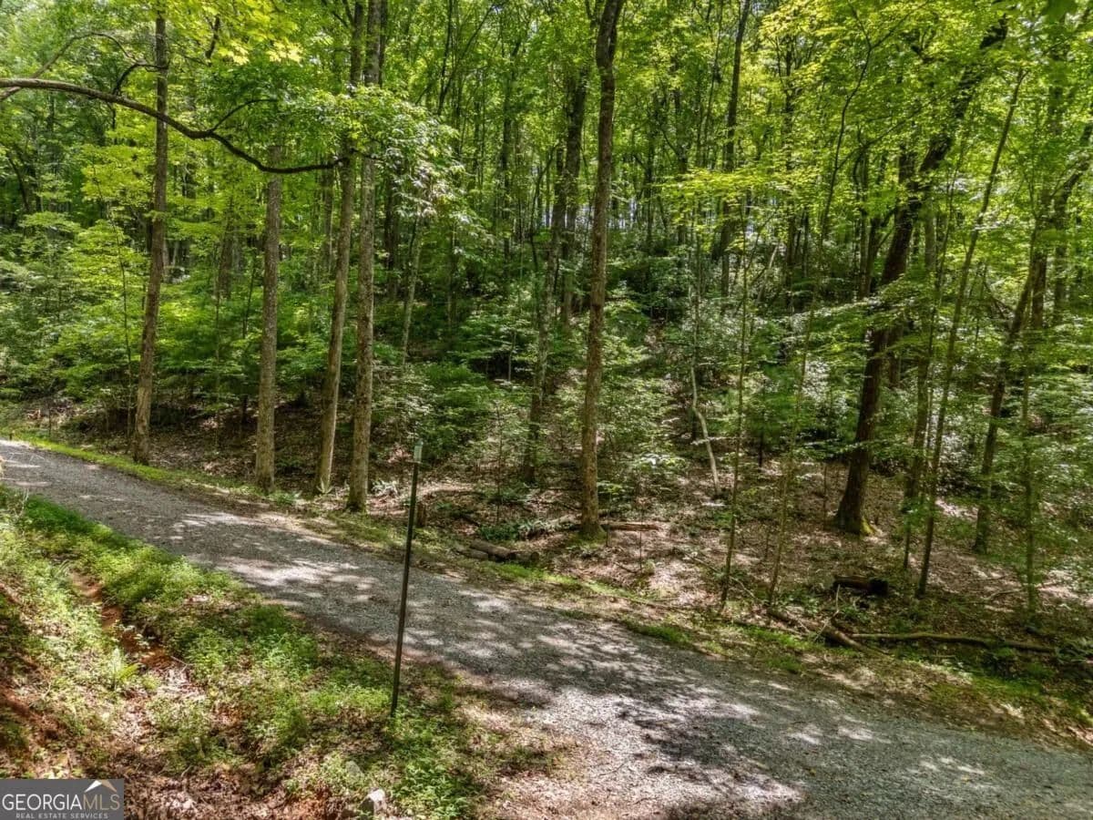 2.69 Acres of Land for Sale in Blue Ridge, GA - Blue Ridge, Georgia, 30513