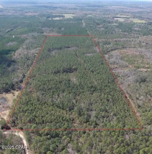 Property from 60 Acres Jw Miller Road - KW