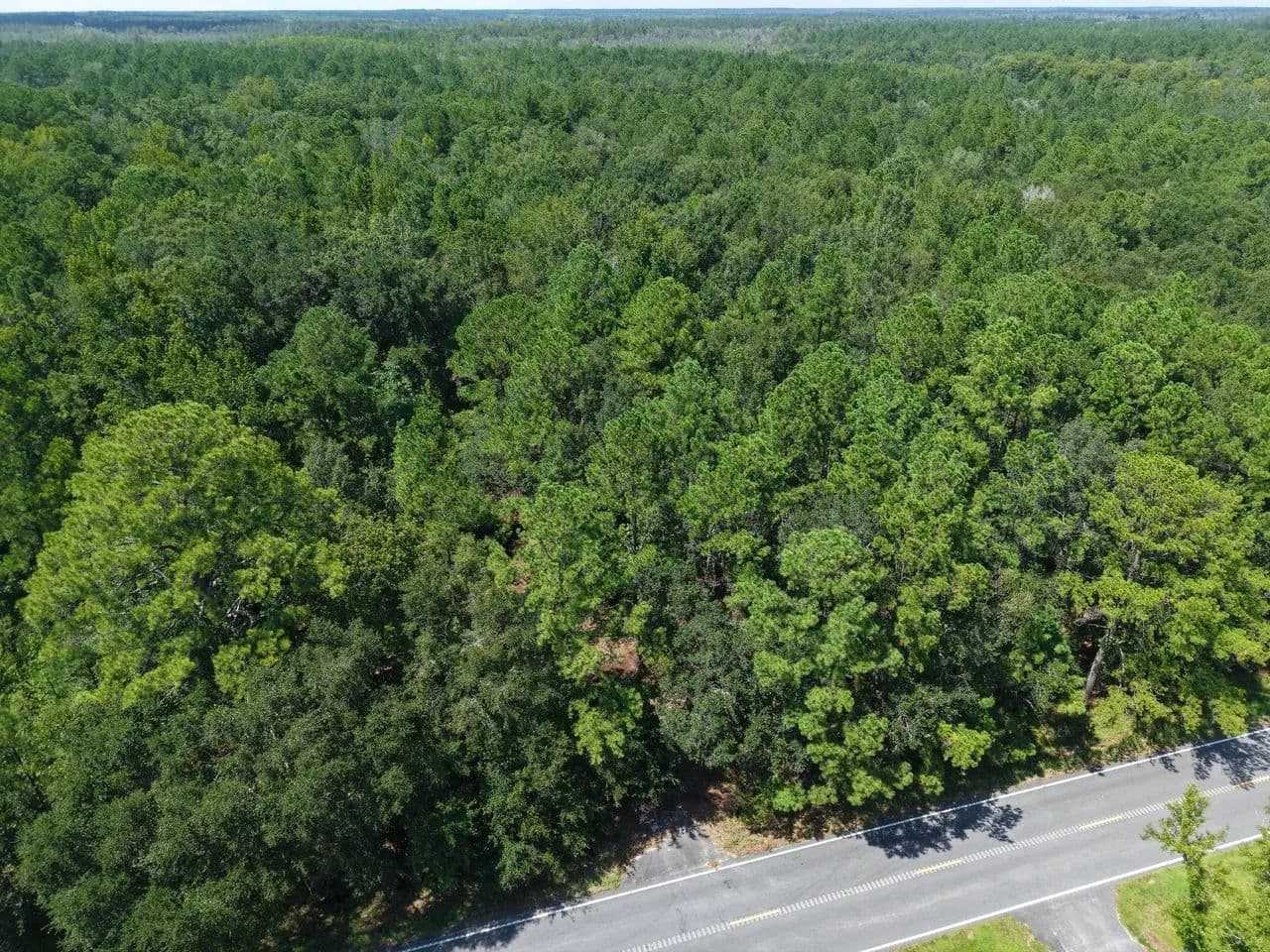 5.1 +/- Ac Land for Sale in Camden County, GA - White Oak, Georgia, 31568