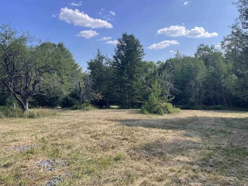 Land -Single Family Acreage in Halifax