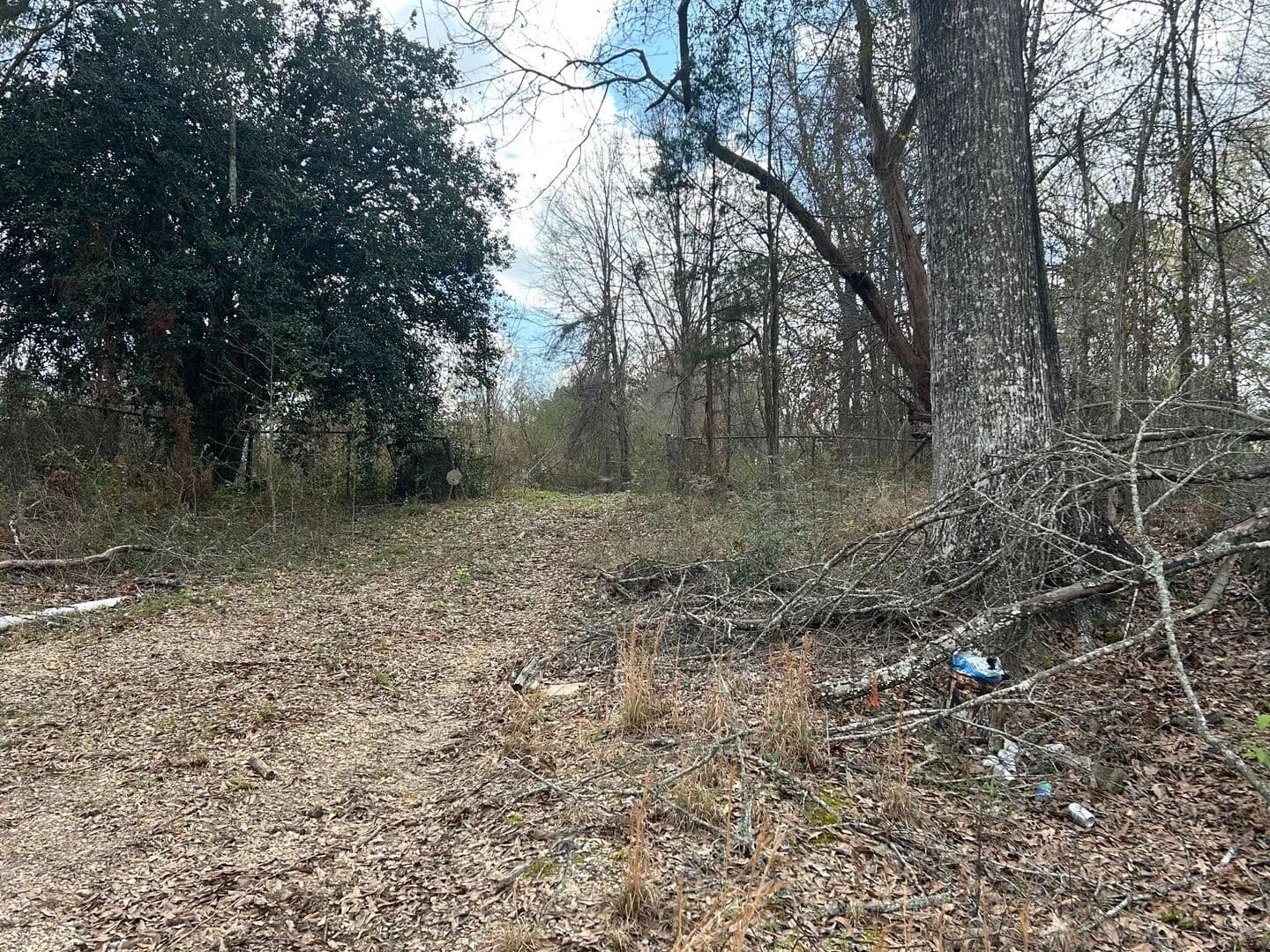 Vacant Land in Ethel - Ethel, Louisiana, 70730