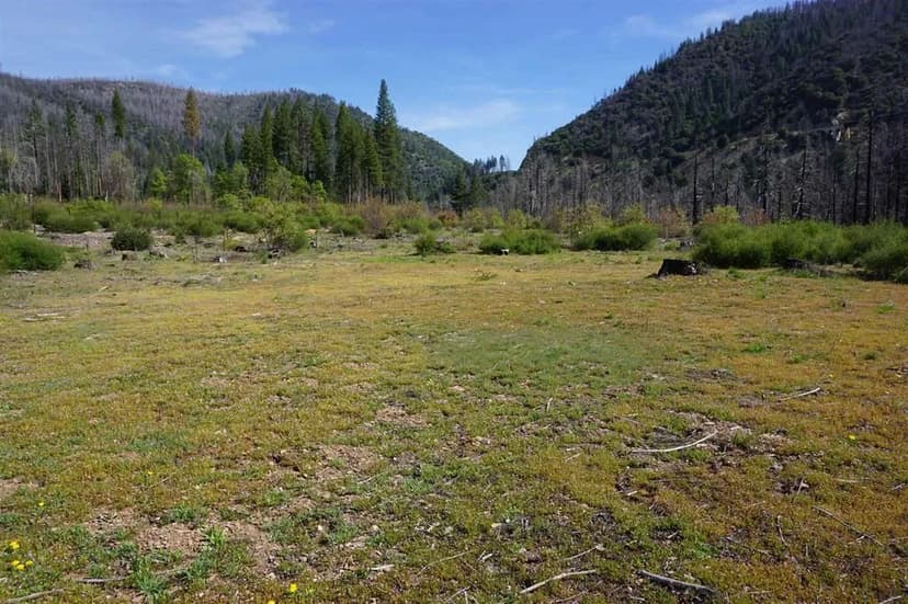 Vacant Land in Indian Falls