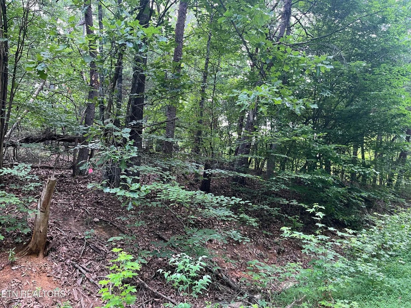 0.86 Acres of Land for Sale in White Pine, TN - White Pine, Tennessee, 37890