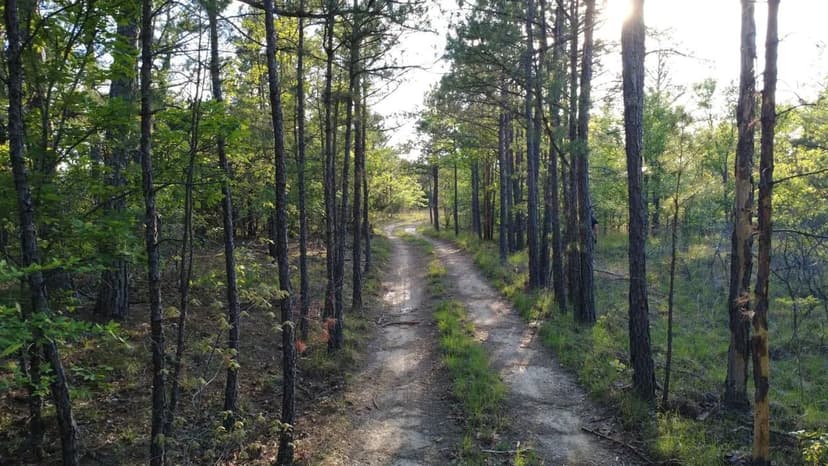 61 Acres of Off-Grid Hunting & Recreational Land – Secluded & Loaded with Wildlife