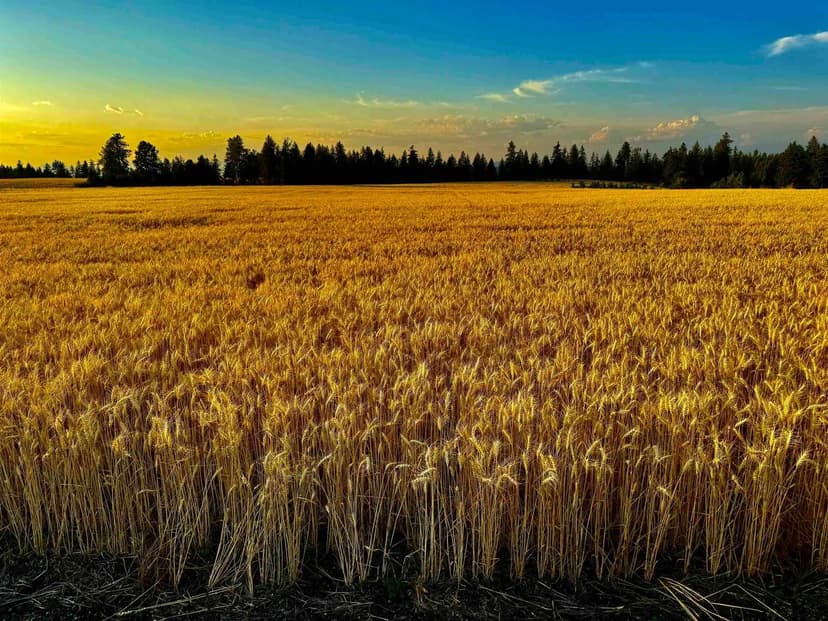 Property from 0 E Orchard Bluff Rd Lot A Rd - KW