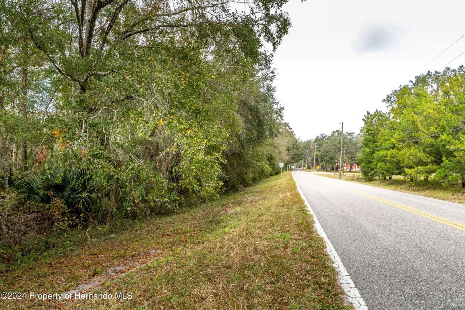 Vacant Land in Brooksville - Brooksville, Florida, 34601