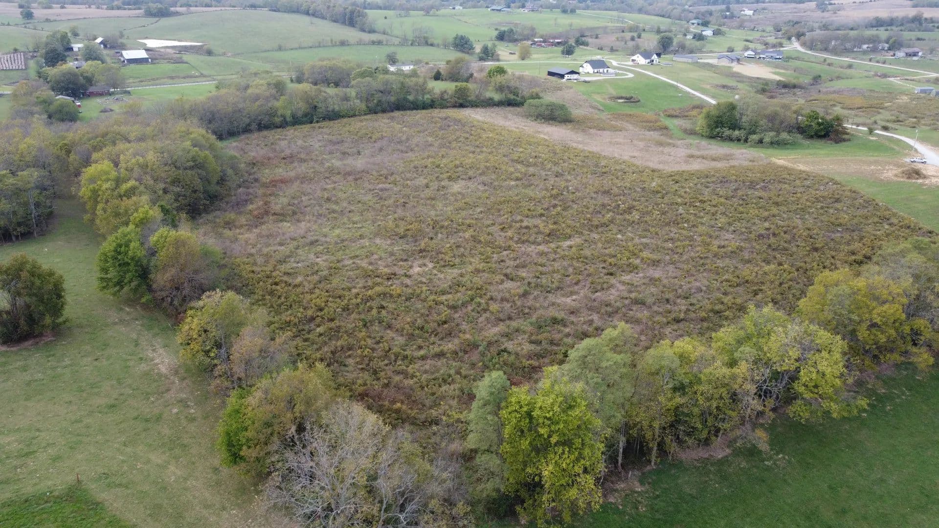 Vacant Land (10+ Acres) in Campbellsburg - Campbellsburg, Kentucky, 40011