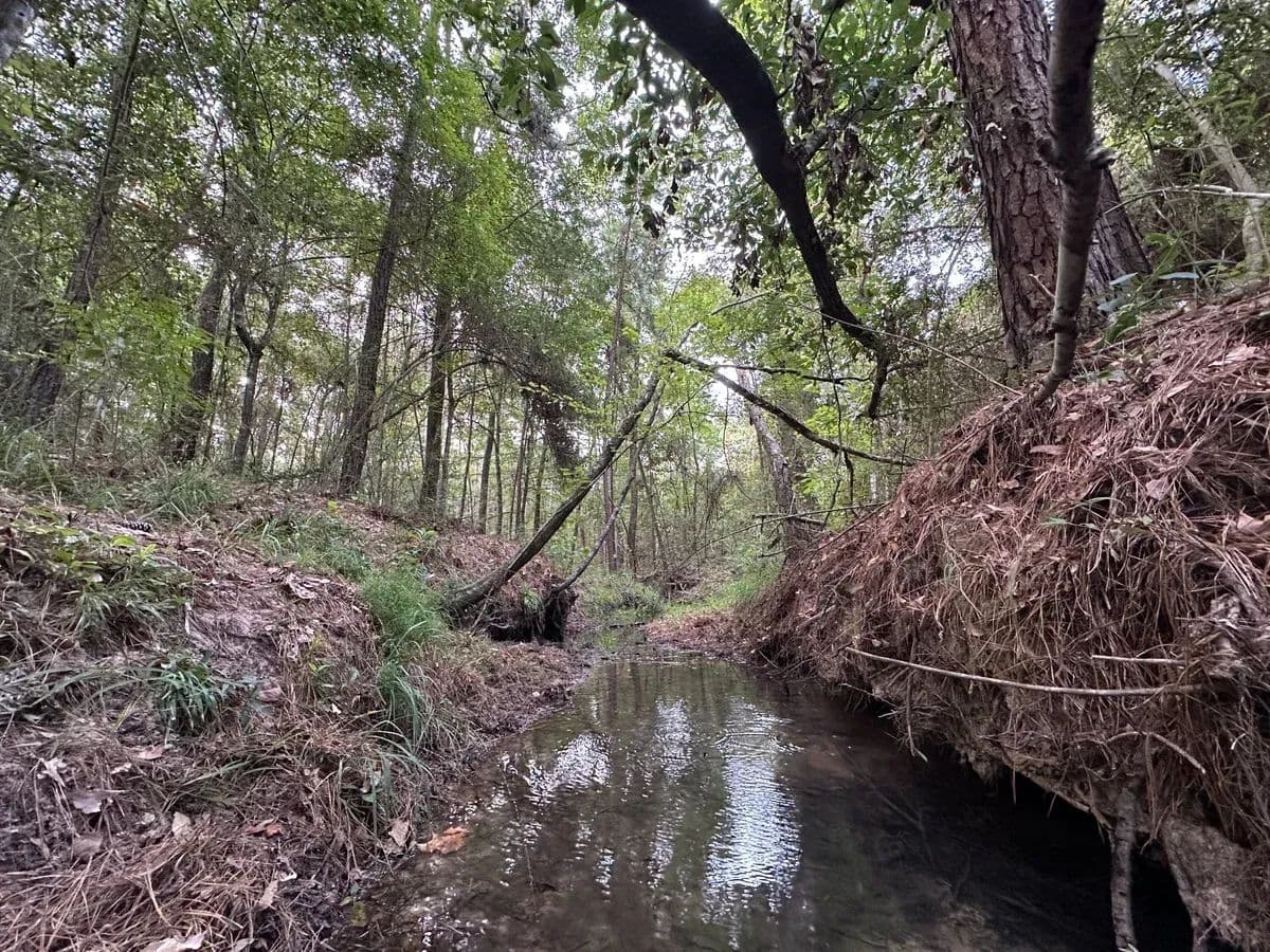 Carlisle Tract - Onalaska, Texas, 75862