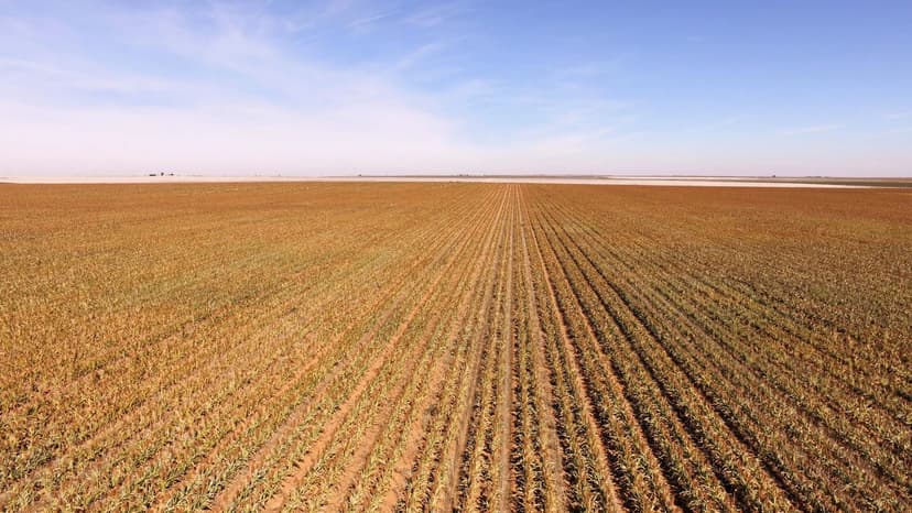 Well-Maintained Dryland Farm with Paved Frontage