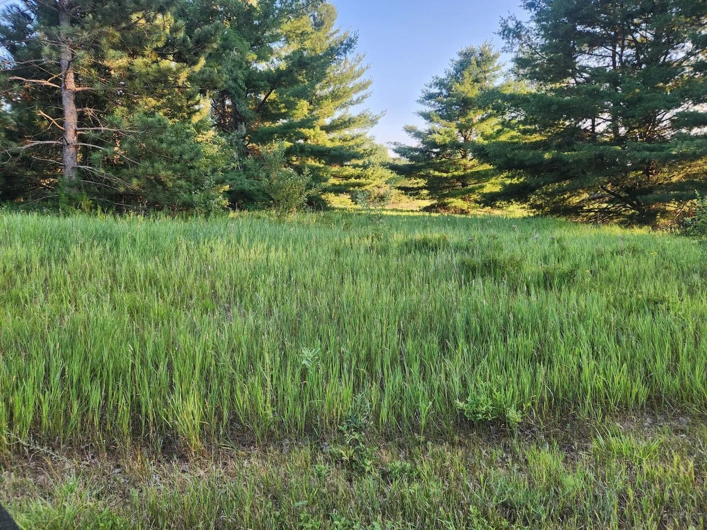 Lots & Land-Other in Canadian Lakes - Canadian Lakes, Michigan, 49346
