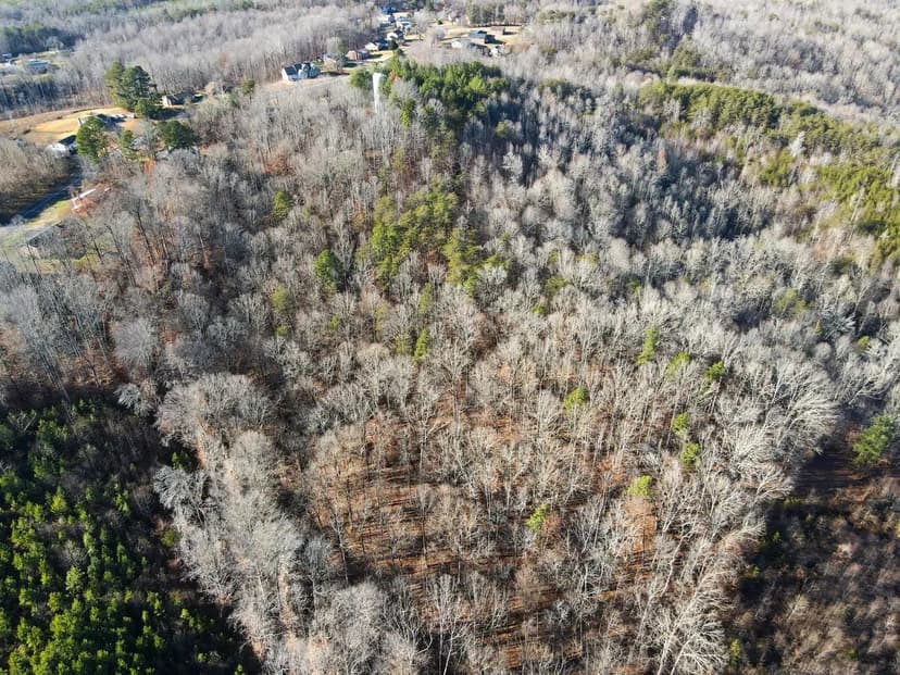 9.81 Acres – Premium Recreational & Homesite Tract | Henry County, VA