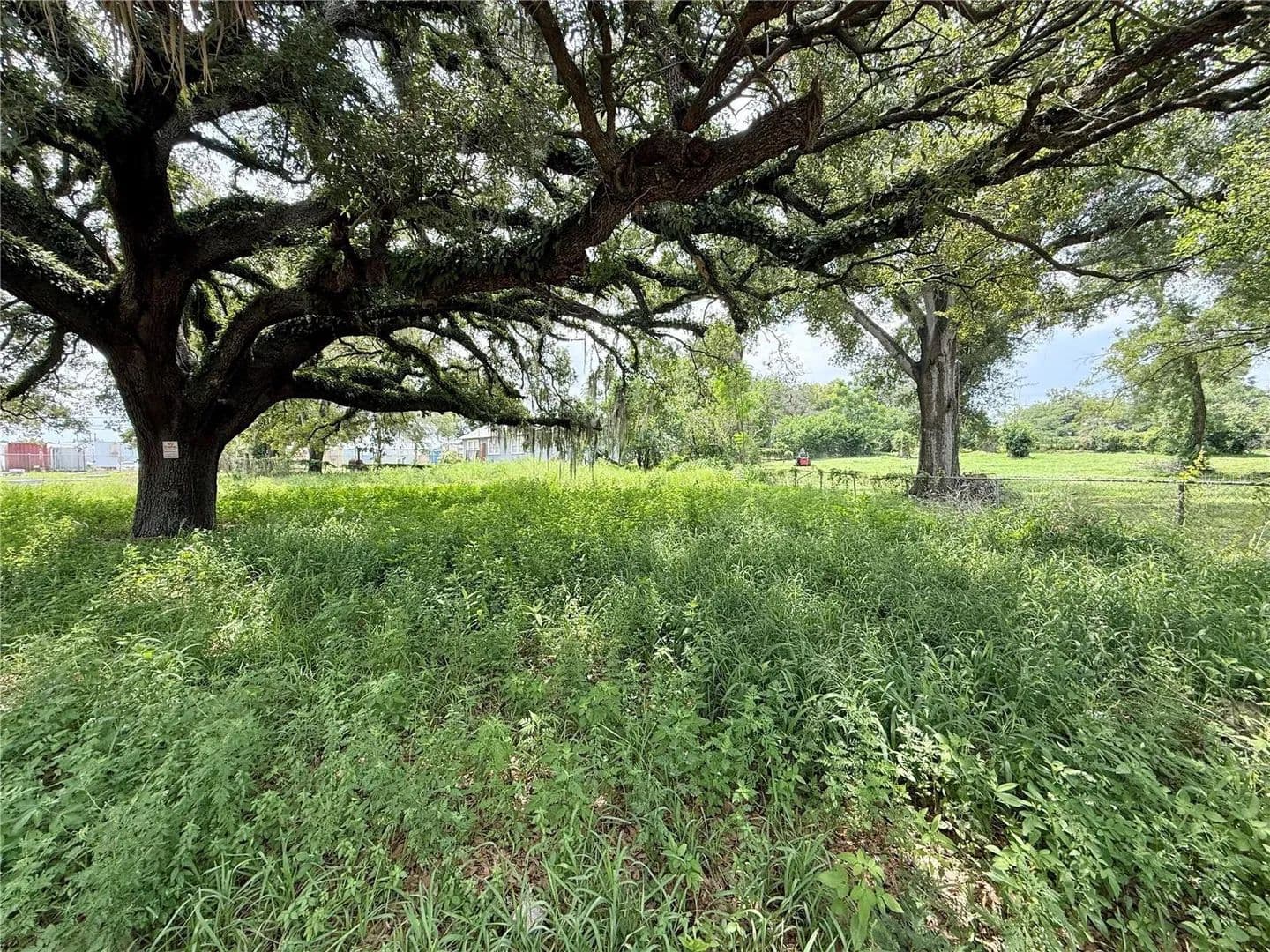 Land -Single Family Acreage in Tampa - Tampa, Florida, 33610
